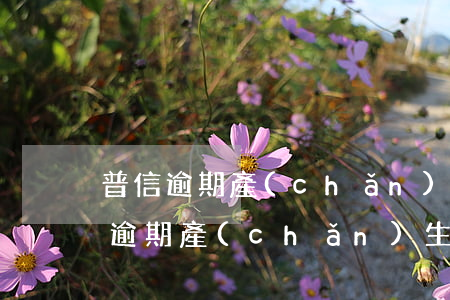 普信逾期產(chǎn)生了大量利息 普信逾期產(chǎn)生了大量利息