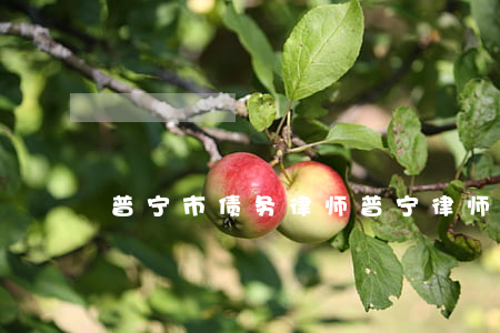 普宁市债务律师 普宁律师咨询