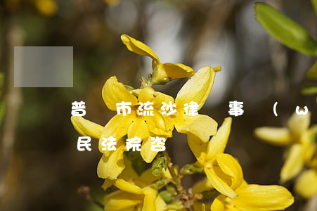 普寧市流沙律師事務(wù)所(普寧流沙人民法院咨詢)