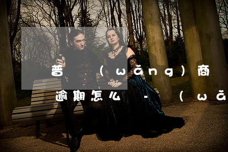 普寧網(wǎng)商貸25萬(wàn)逾期怎么辦-網(wǎng)商貸5萬(wàn)逾期后果