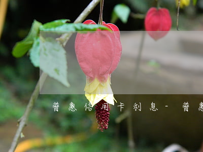 普惠信用卡利息-普惠銀行信用卡