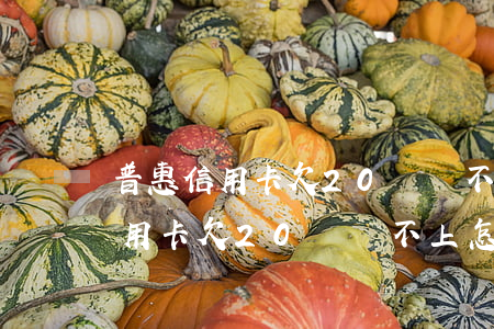 普惠信用卡欠20萬還不上怎么辦-普惠信用卡欠20萬還不上怎么辦呢