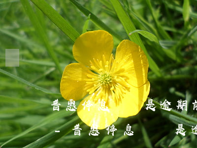 普惠停息掛賬是逾期前申請還是逾期后申請-普惠停息掛賬是逾期前申請還是逾期后申請好