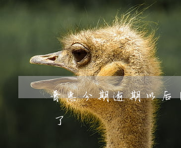 普惠分期逾期以后還款(惠金分期已逾期兩年了)