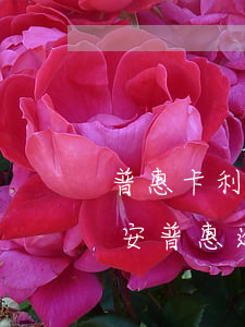 普惠卡利息逾期被起訴嚴(yán)重嗎 平安普惠逾期200多天,會被起訴嗎?
