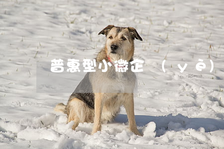 普惠型小微企業(yè)貸款