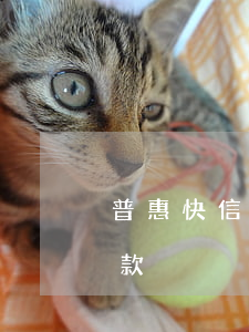 普惠快信如何只還本金(普惠快信怎么提前還款)