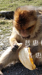 普惠快信手机贷逾期多久(我今天申请通过了普惠快信K利贷 一般多久)