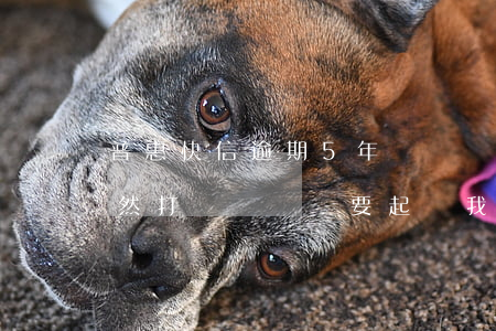 普惠快信逾期5年沒還 現(xiàn)在突然打電話來說要起訴我（普惠快信逾期）