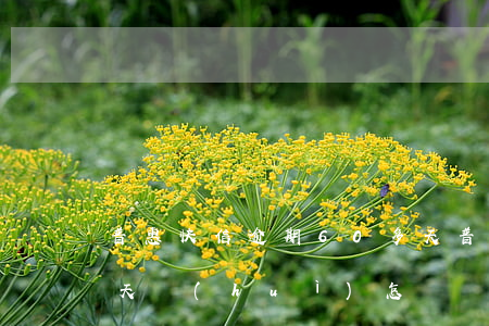 普惠快信逾期60多天(普惠快信逾期60多天會(huì)怎樣)