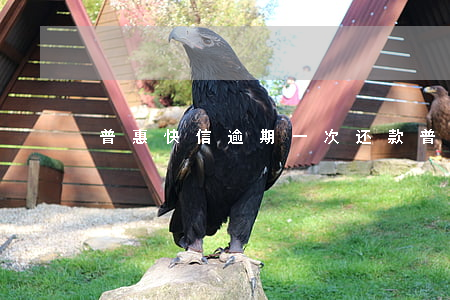 普惠快信逾期一次还款(普惠快信还完之后)