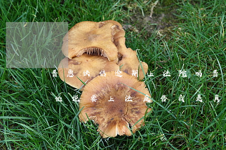 普惠快信逾期上法院吗 普惠快信逾期两个月他说要上法庭告我是真的吗!