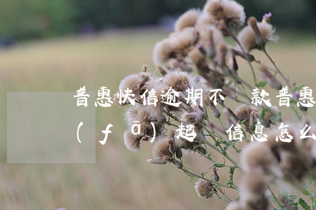 普惠快信逾期不還款(普惠快信不還款老是發(fā)起訴信息怎么辦)