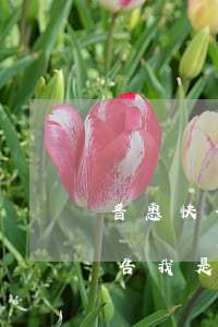 普惠快信逾期兩個(gè)月他說要上法庭告我是真的嗎!（普惠快捷逾期多久會(huì)被起訴）
