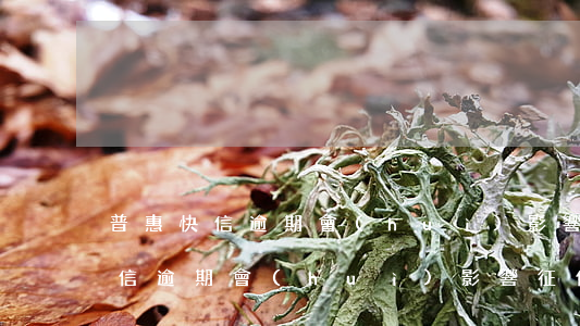 普惠快信逾期會(huì)影響征信(普惠快信逾期會(huì)影響征信)