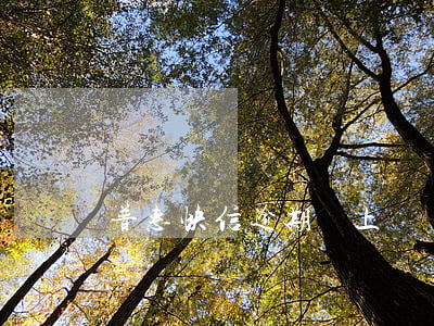 普惠快信逾期會上門嗎-普惠快信逾期會上門嗎