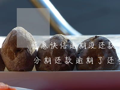 普惠快信逾期没还款(普惠快信倒闭了我手机分期还款逾期了还会打电话吗)
