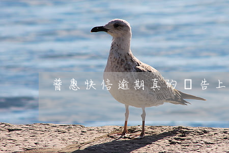 普惠快信逾期真的會告上法院嗎
