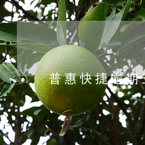 普惠快捷逾期五年了需要還錢嗎-
