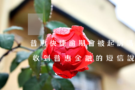 普惠快捷逾期會被起訴嗎(經(jīng)常收到普惠金融的短信,說我逾期最近法院排期起訴)