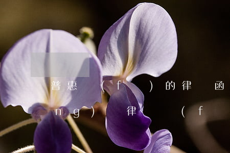 普惠發(fā)的律師函有法律效應(yīng)嗎(律師發(fā)函有無法律效力)