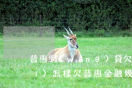 普惠網(wǎng)貸欠三千不還會(huì)怎樣(欠普惠金融幾千塊錢三年沒還會(huì)怎么樣)