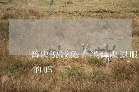 普惠说减免一半 普惠退服务费、保险费是真的吗