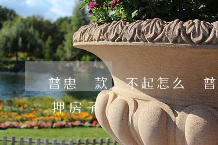 普惠貸款還不起怎么辦(普惠貸款還不上會扣押房子嗎)