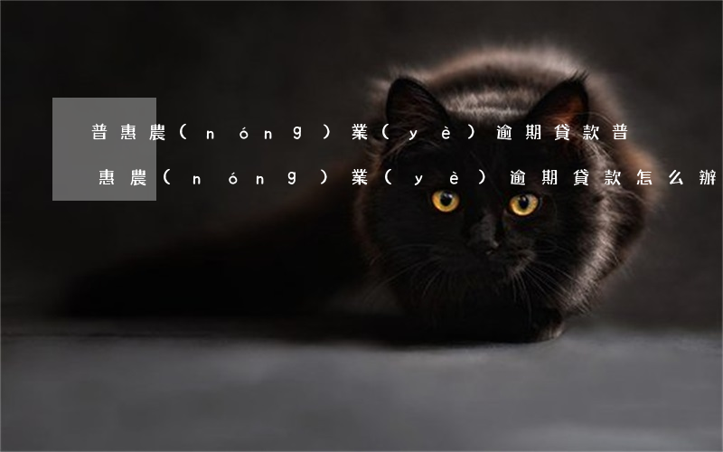 普惠農(nóng)業(yè)逾期貸款(普惠農(nóng)業(yè)逾期貸款怎么辦理)