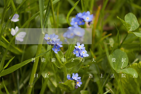 普惠逾期20天說要起訴(平安普惠逾期一個月起訴真會告上法院去的嗎)