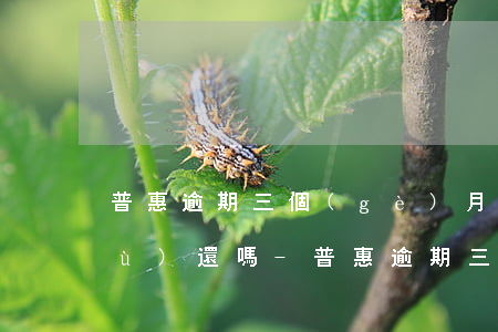 普惠逾期三個(gè)月了還可以繼續(xù)還嗎-普惠逾期三個(gè)月了還可以繼續(xù)還嗎