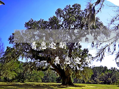 普惠逾期協(xié)商后分期還不上怎么辦-普惠逾期協(xié)商后分期還不上怎么辦呢