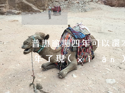 普惠逾期四年可以還本金嗎(普惠金融逾期一年了,現(xiàn)在客服員說(shuō)還本金就可以可靠嗎)