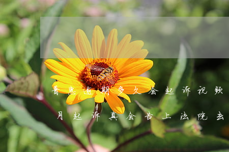 普惠逾期多久会起诉视频(平安普惠逾期一个月起诉真会告上法院去的吗)