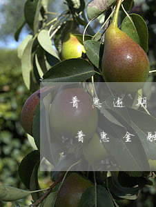 普惠逾期多久被起訴 經(jīng)常收到普惠金融的短信,說(shuō)我逾期最近法院排期起訴
