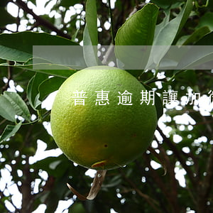 普惠逾期讓加微信(普惠逾期讓加微信)