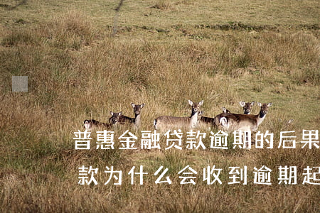 普惠金融贷款逾期的后果(没有在普惠金融借款为什么会收到逾期起诉短信)