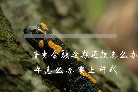 普惠金融逾期还款怎么办(普惠金融逾期了一年怎么办?要上诉我)
