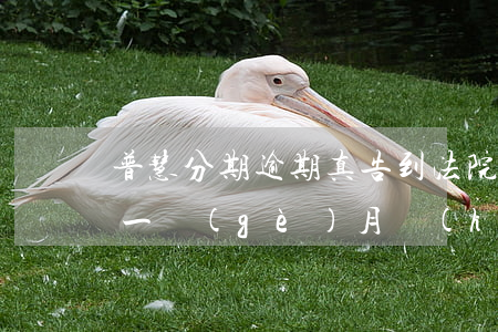 普慧分期逾期真告到法院了么(普惠金融逾期一個(gè)月會(huì)不會(huì)法院起訴我)