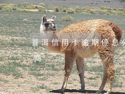 普洱信用卡逾期停息分期怎么協(xié)商