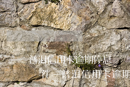 普洱信用卡逾期停息掛賬申請(qǐng)條件-普洱信用卡逾期停息掛賬申請(qǐng)條件是什么