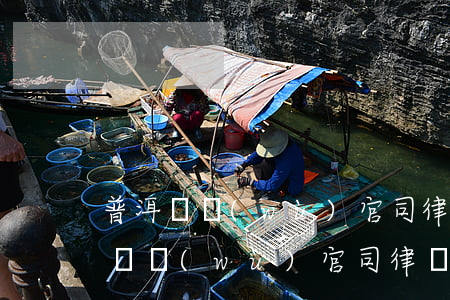 普洱債務(wù)官司律師收費(fèi)(債務(wù)官司律師費(fèi)用收取標(biāo)準(zhǔn))
