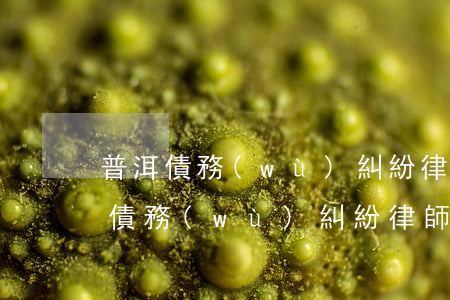普洱債務(wù)糾紛律師費(fèi)用(債務(wù)糾紛律師費(fèi)用收取標(biāo)準(zhǔn)2018)