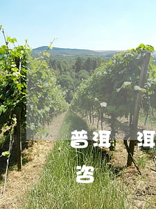 普洱寧洱縣債務(wù)律師-普洱市律師咨詢電話
