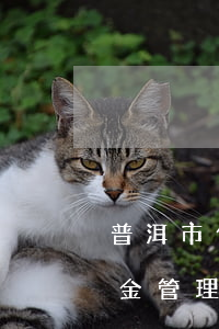 普洱市住房公積金管理中心(普洱市住房公積金管理中心瀾滄管理部)