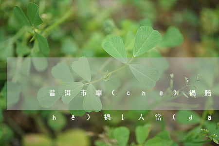 普洱市車(chē)禍賠償律師(普洱車(chē)禍1人當(dāng)場(chǎng)死亡)
