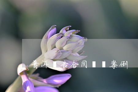 普洱廣告合同糾紛案例
