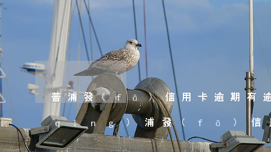 普浦發(fā)信用卡逾期(有逾期能申請(qǐng)浦發(fā)信用卡)