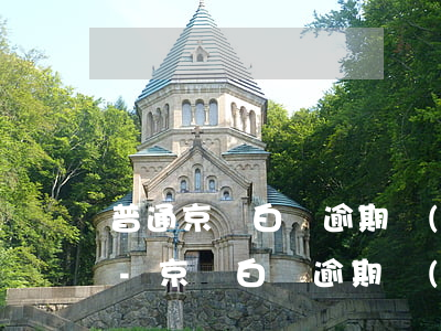 普通京東白條逾期會(huì)影響征信嗎-京東白條逾期會(huì)不會(huì)上征信?