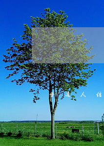 普通人信用卡逾期怎么处理(普通的信用卡)